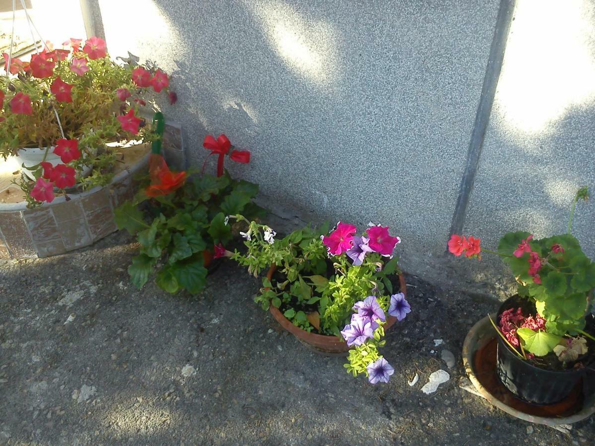 Apartman Svilno 里耶卡 外观 照片