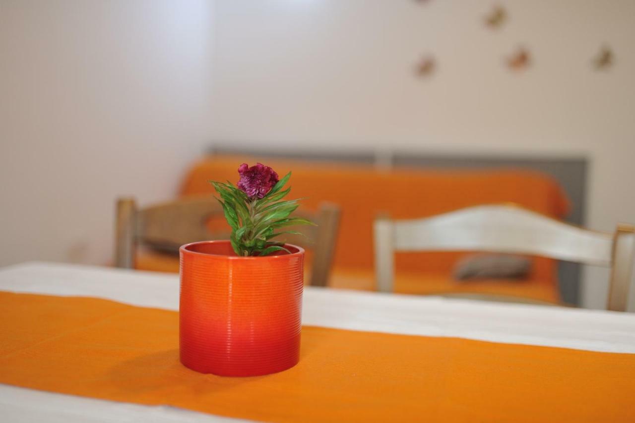 Apartman Svilno 里耶卡 外观 照片